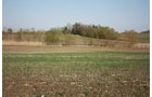 Property photo 18 - 641 Acres Offered in 16 Tracts - 545 Cropland Acres